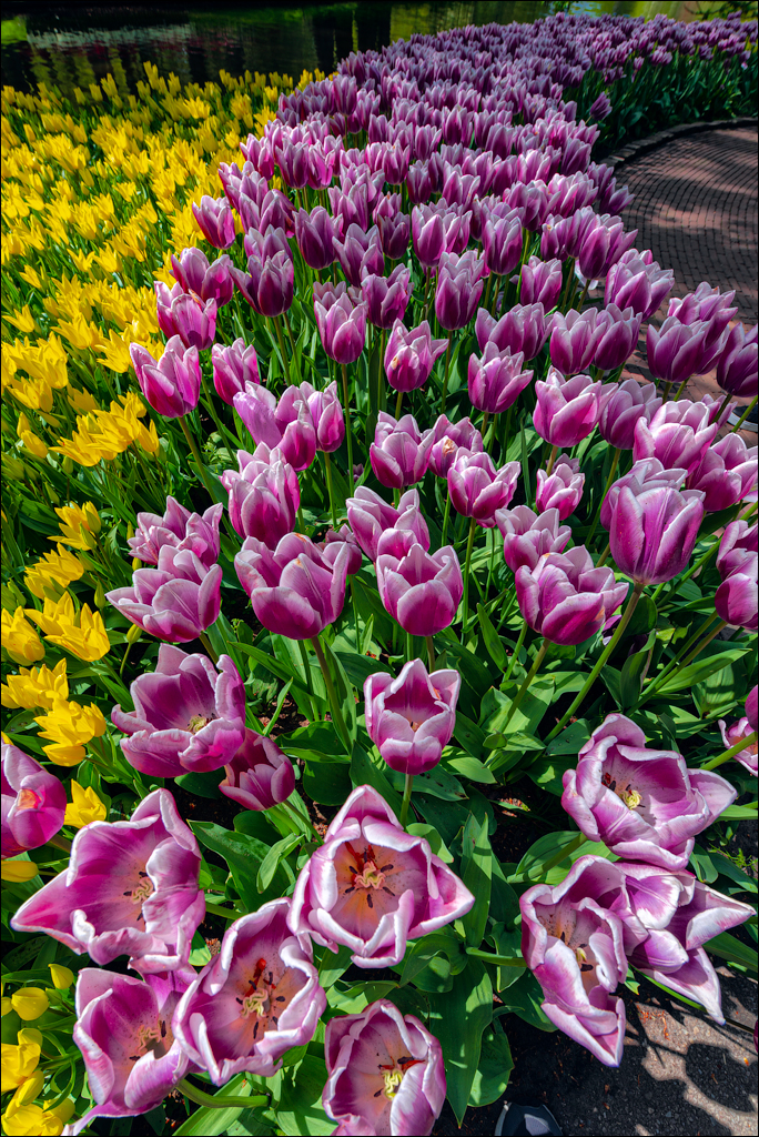 Amsterdam 202204262122