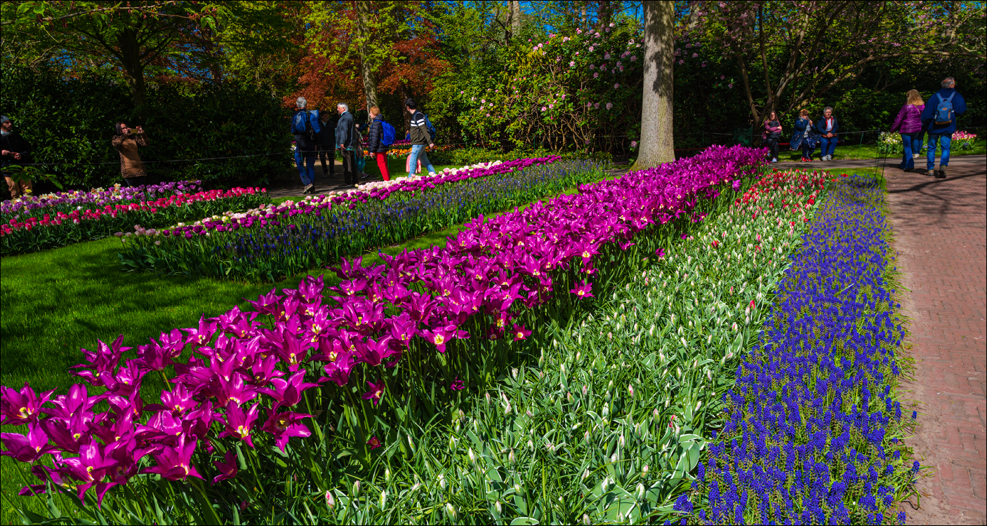 Amsterdam 202204262128