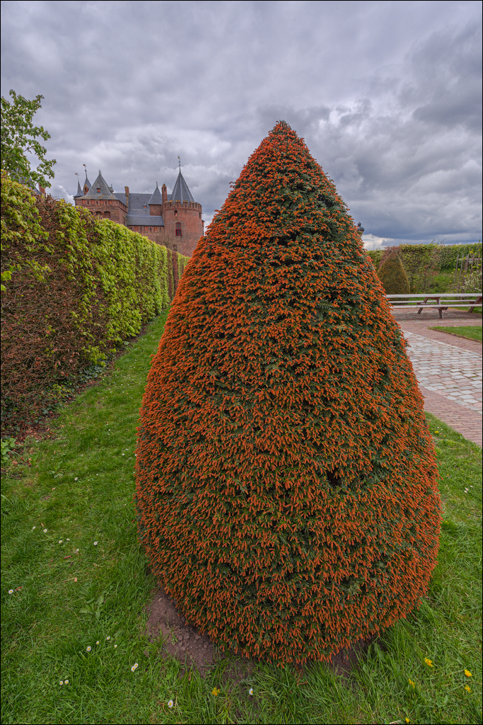 Amsterdam 20220430 156