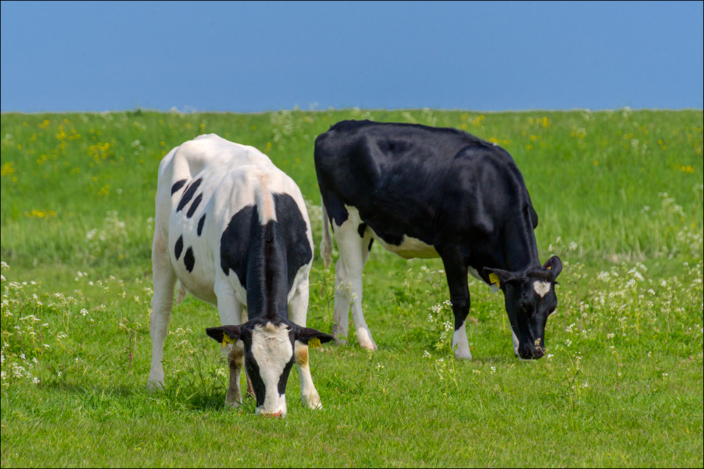 Amsterdam 20220501 116