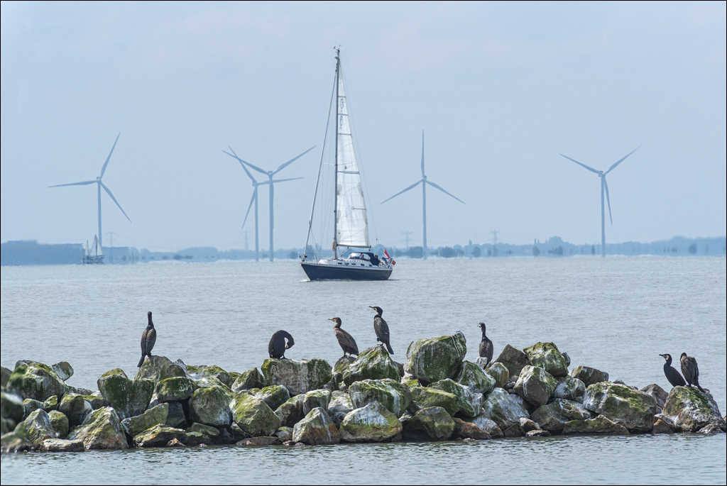 Amsterdam 20220501 124