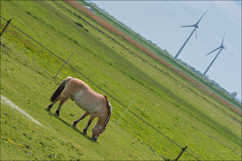 Amsterdam 20220501 156