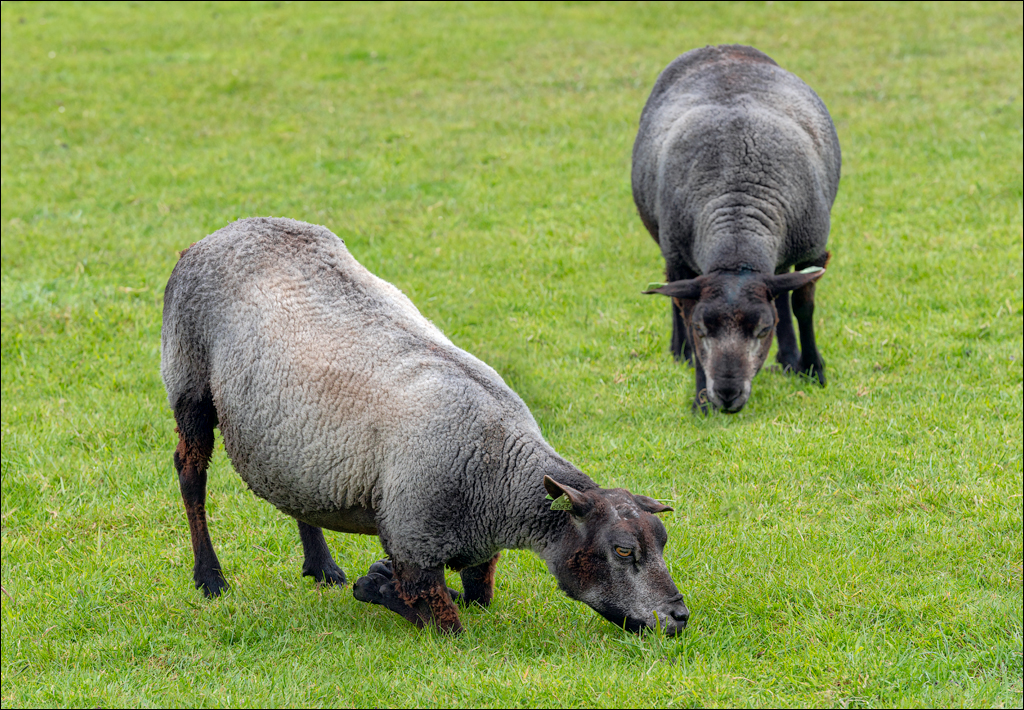 Amsterdam 20220427157