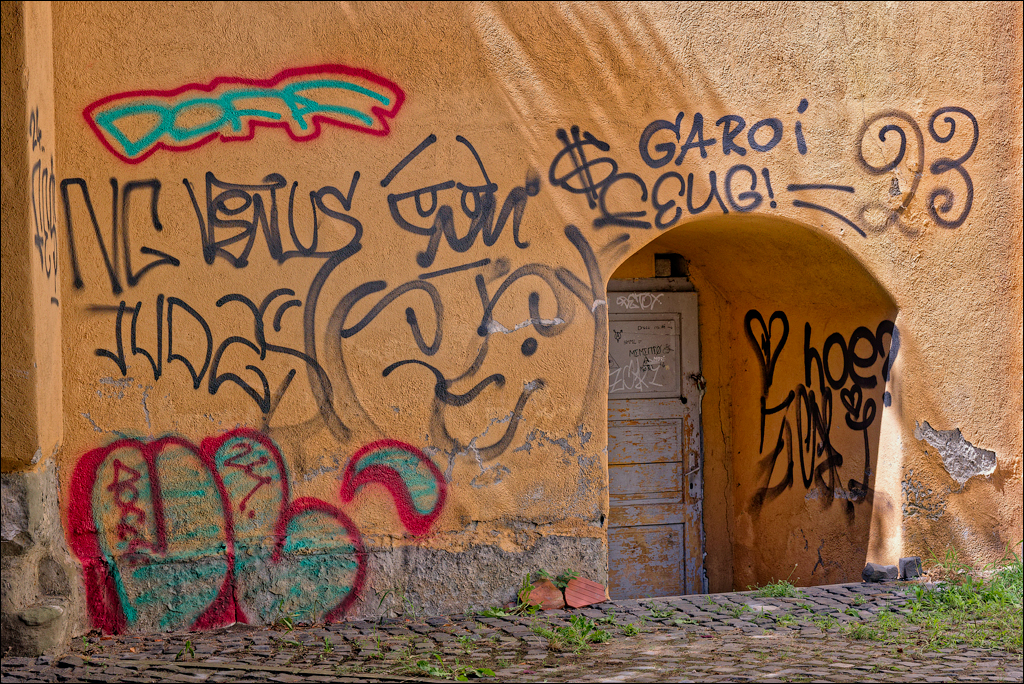 Brasov TimisuDeJos PoianaBrasov 11 16aug2024 145