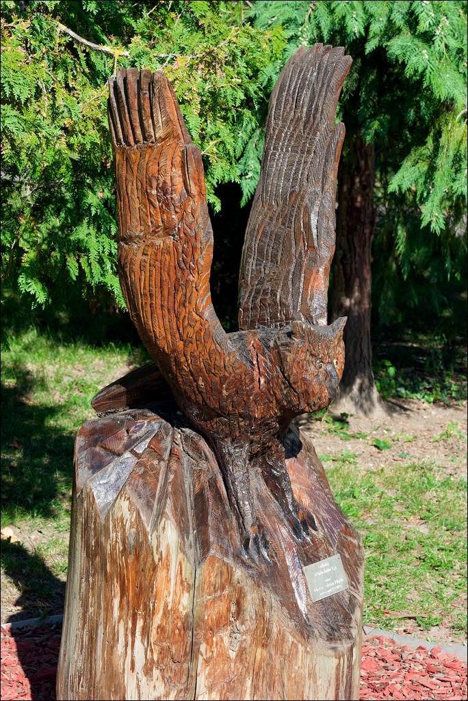 Brasov TimisuDeJos PoianaBrasov 11 16aug2024 146