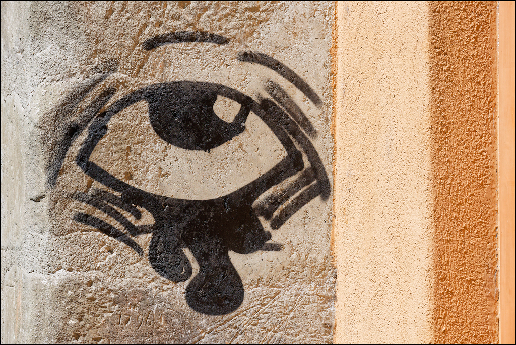 Brasov TimisuDeJos PoianaBrasov 11 16aug2024 154