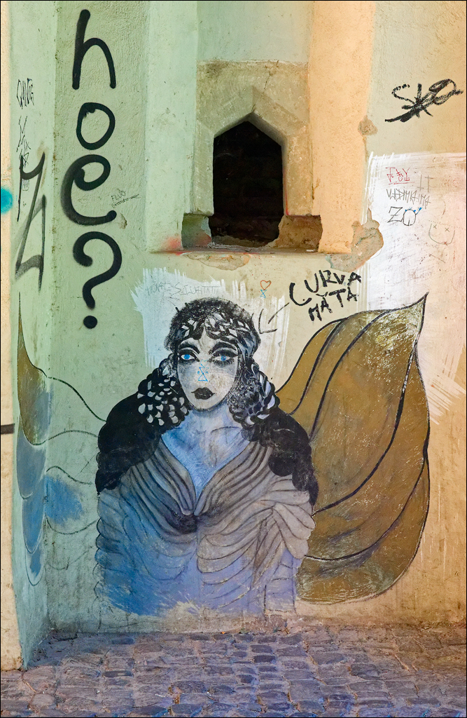 Brasov TimisuDeJos PoianaBrasov 11 16aug2024 156