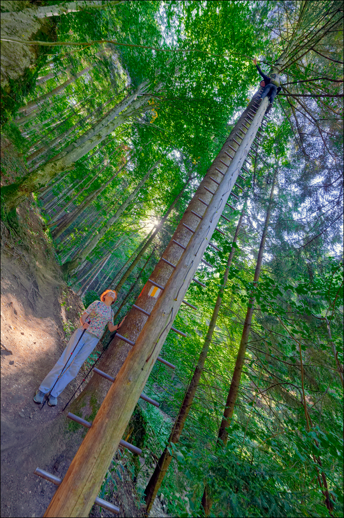 Brasov TimisuDeJos PoianaBrasov 11 16aug2024 216