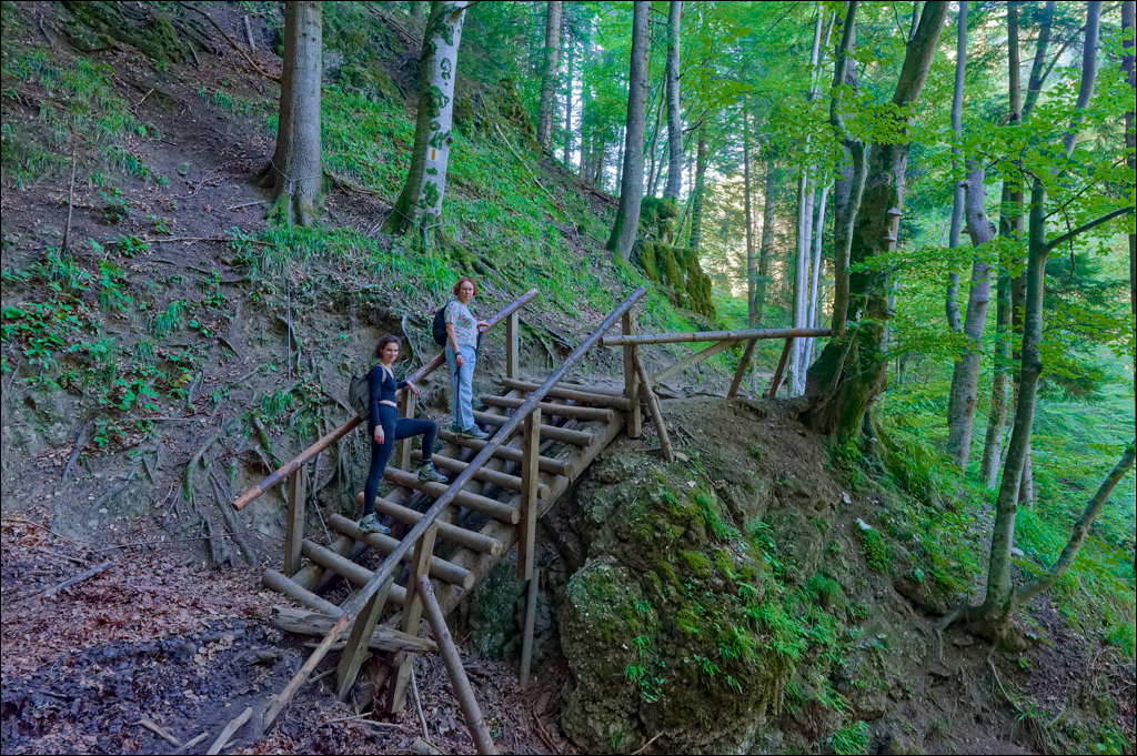 Brasov TimisuDeJos PoianaBrasov 11 16aug2024 217
