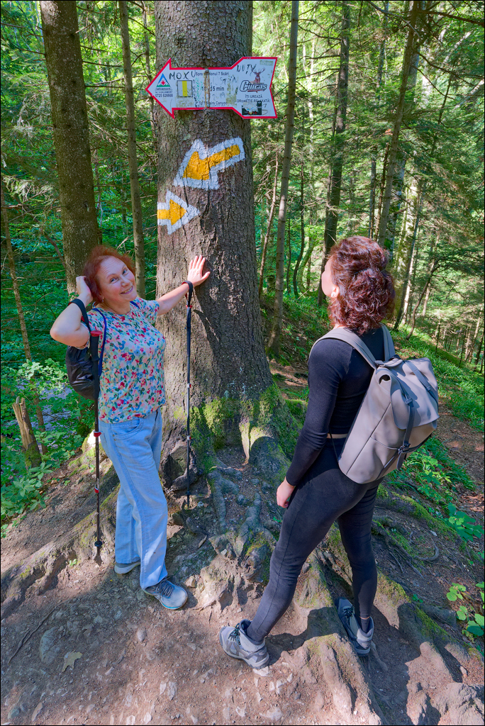 Brasov TimisuDeJos PoianaBrasov 11 16aug2024 218