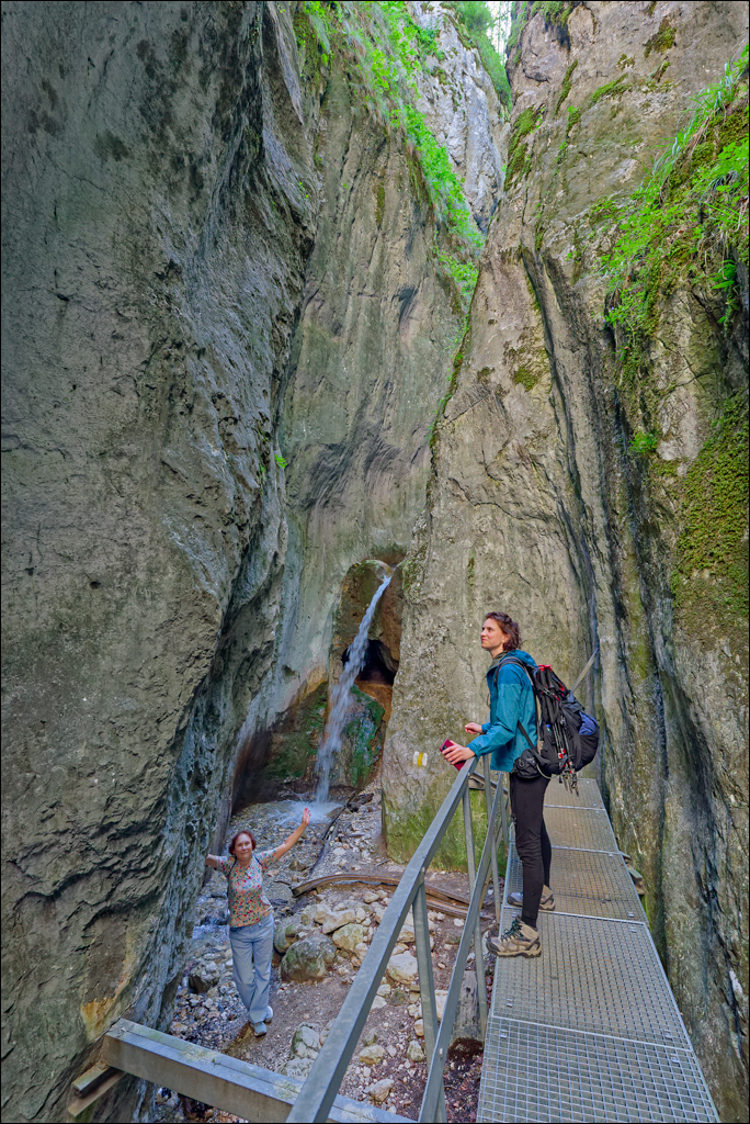 Brasov TimisuDeJos PoianaBrasov 11 16aug2024 228