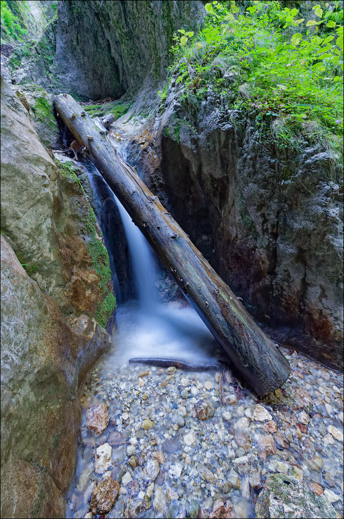 Brasov TimisuDeJos PoianaBrasov 11 16aug2024 231