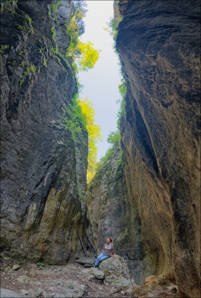 Brasov TimisuDeJos PoianaBrasov 11 16aug2024 234