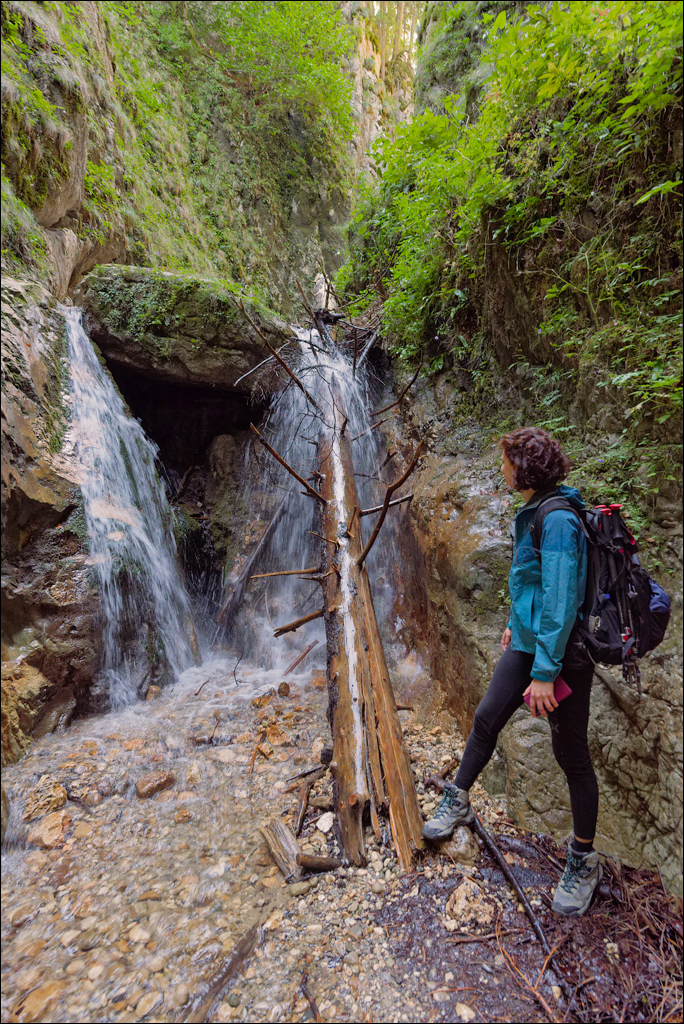 Brasov TimisuDeJos PoianaBrasov 11 16aug2024 235
