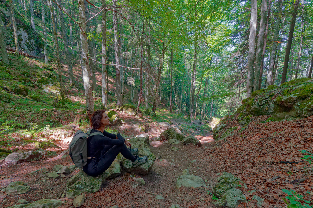 Brasov TimisuDeJos PoianaBrasov 11 16aug2024 241