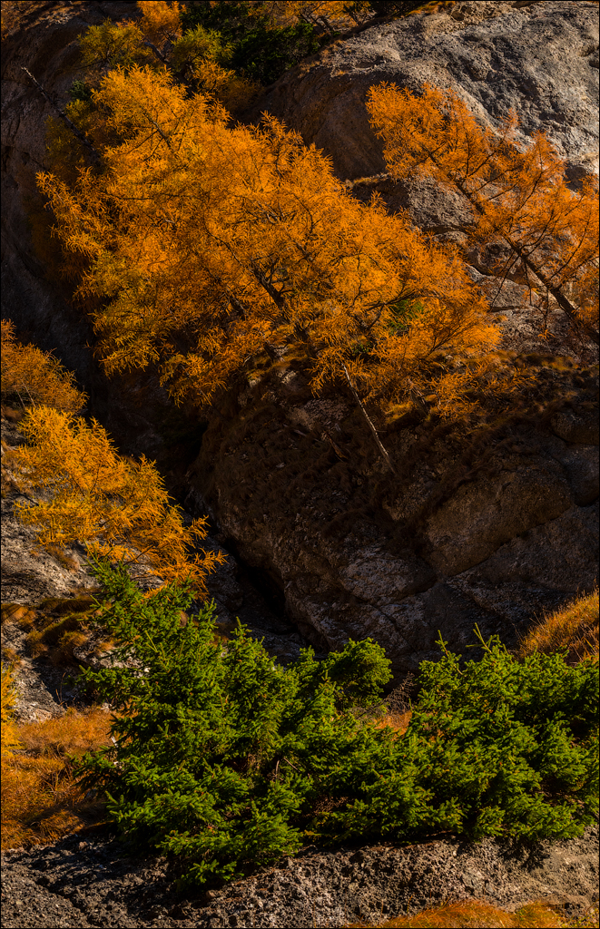 Bucegi Omu 20170912086