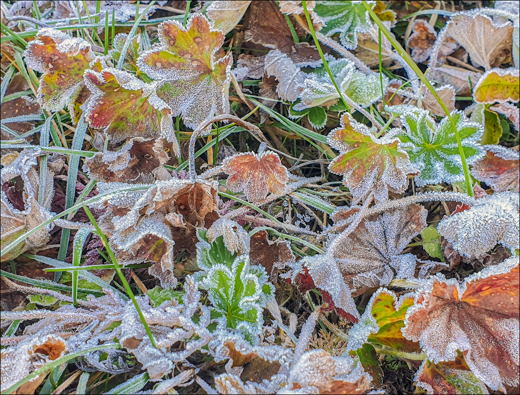 Durau Ceahlau 01 02oct2021 181