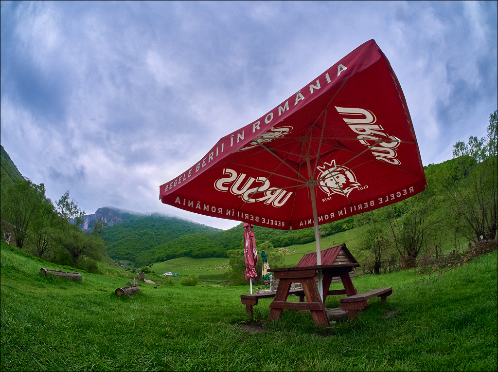 CheileTurzii 2017 158158