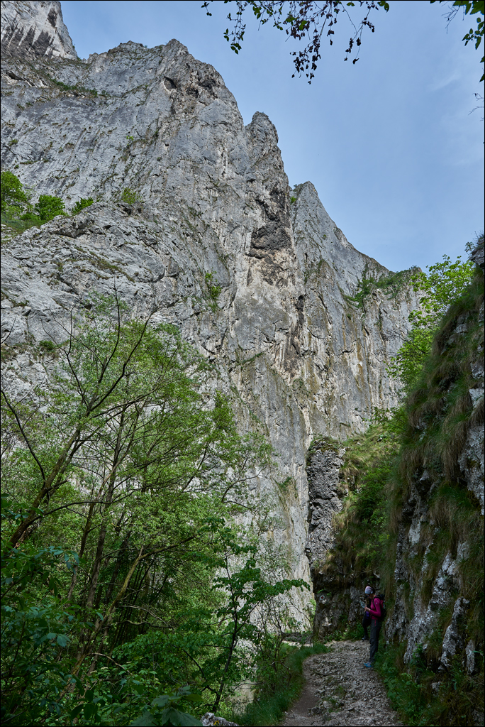 CheileTurzii 2017 171171