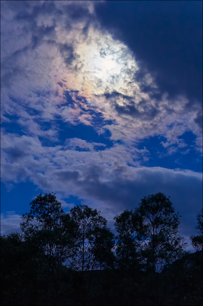 CheileTurzii 2017 204204