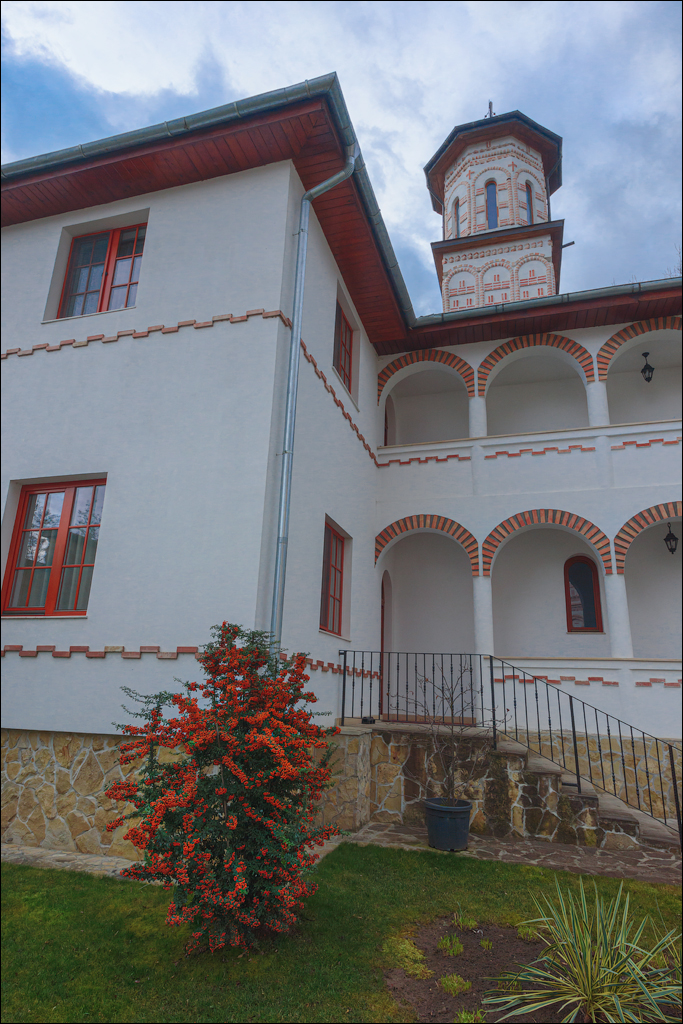 CheileTurzii Cluj 25 26feb2023 109