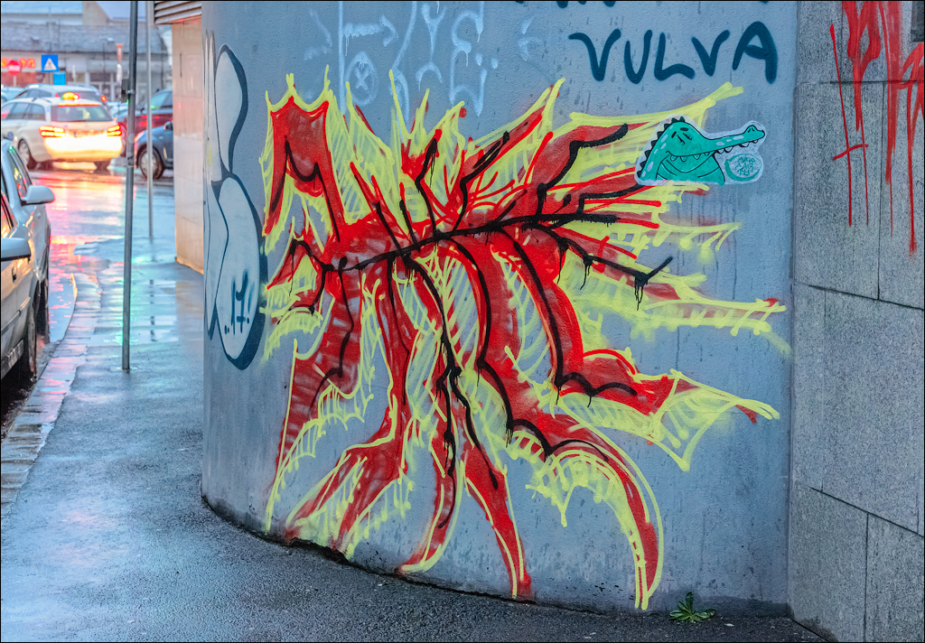 CheileTurzii Cluj 25 26feb2023 259