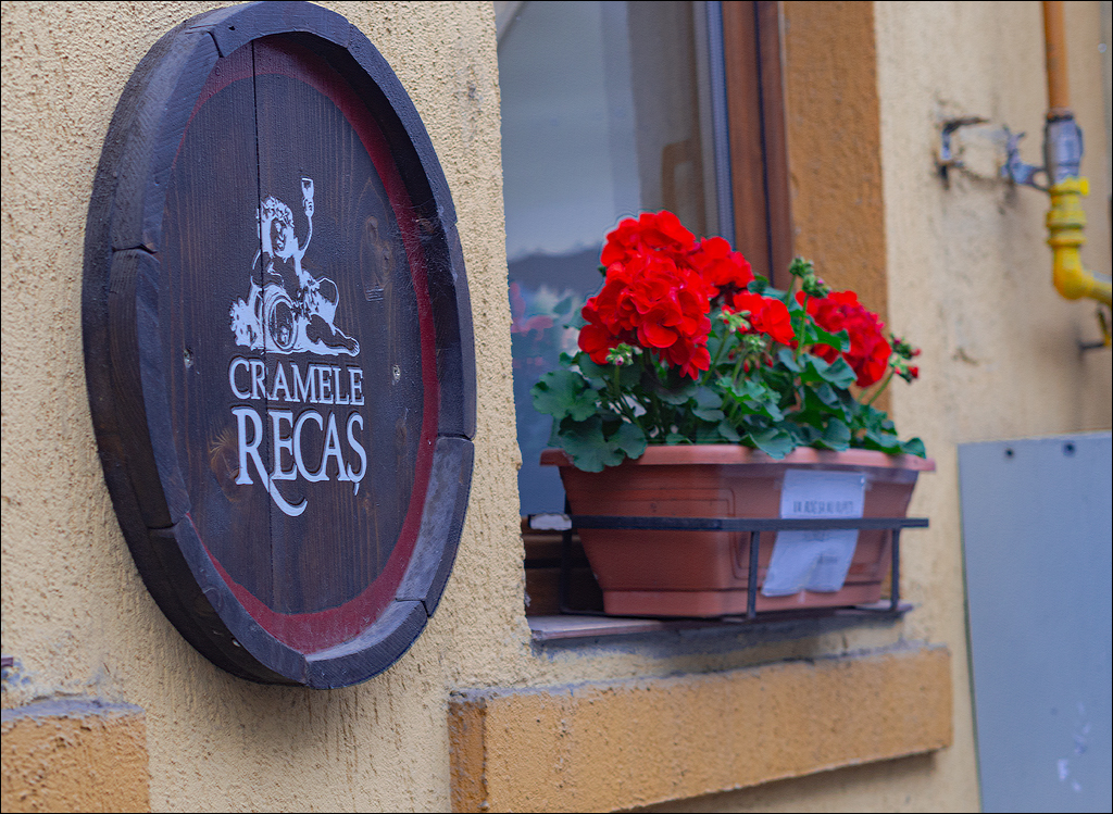 Cluj Napoca 20160605 210