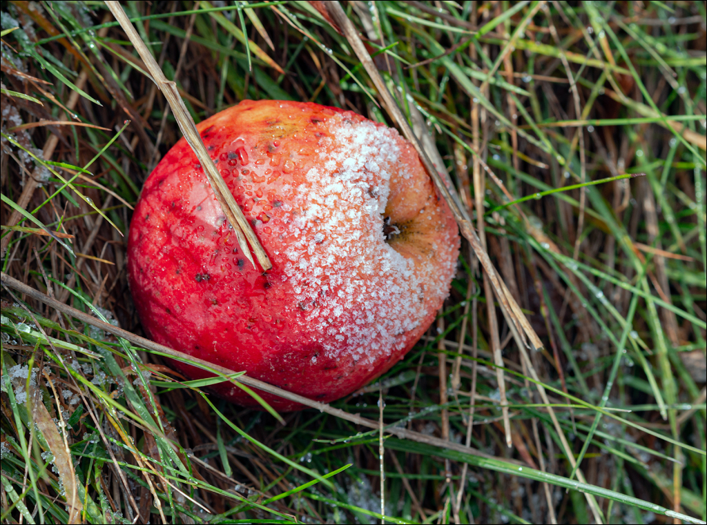 ClujNapoca PesteraUrsilor 20161111 103