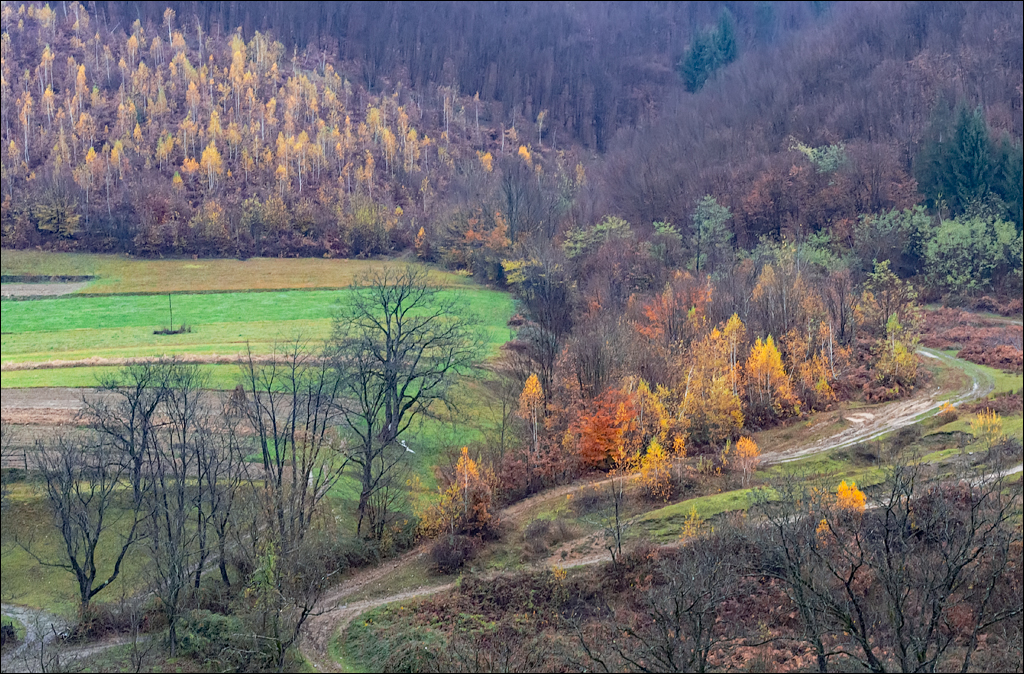 ClujNapoca PesteraUrsilor 20161111 149