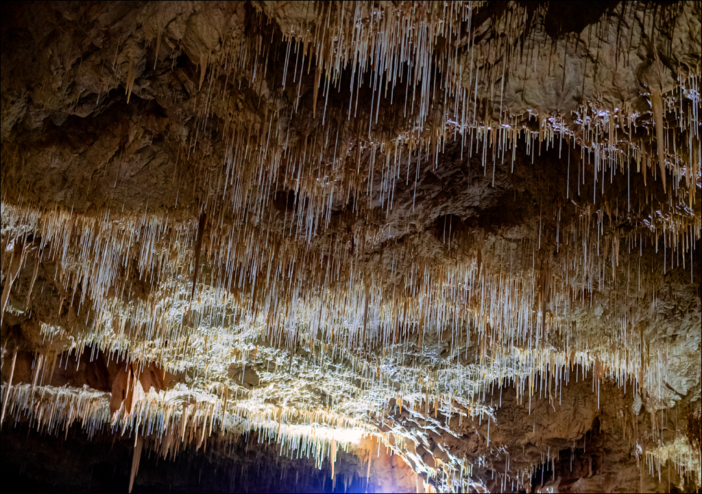 ClujNapoca PesteraUrsilor 20161111 187
