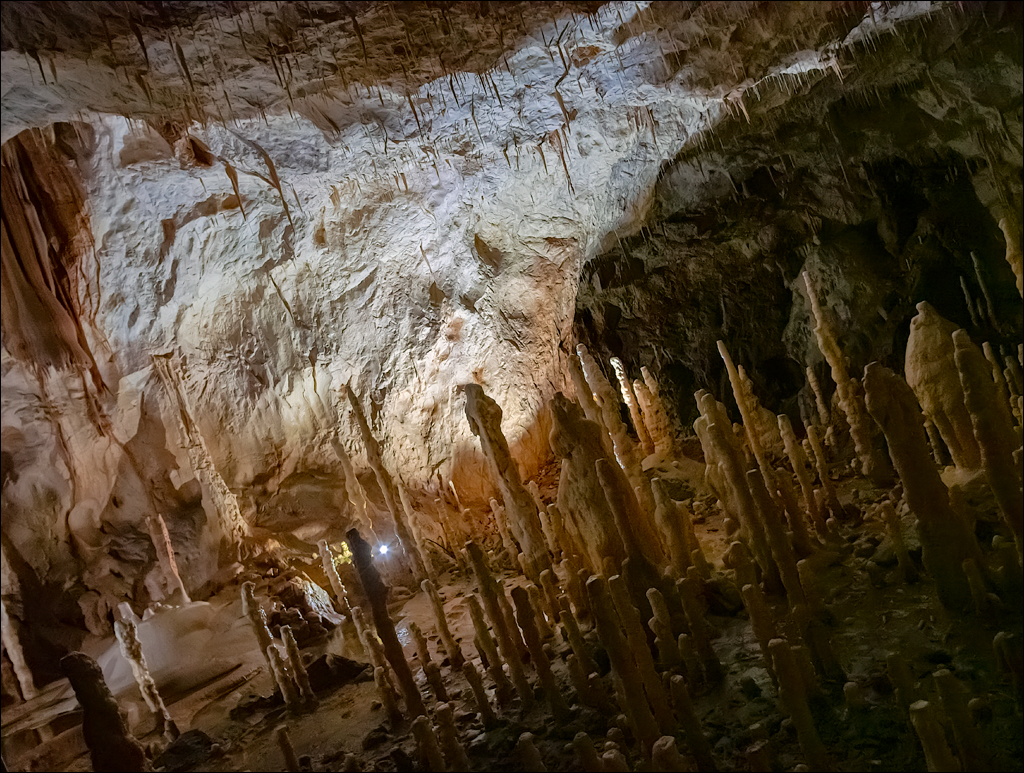 ClujNapoca PesteraUrsilor 20161111 191