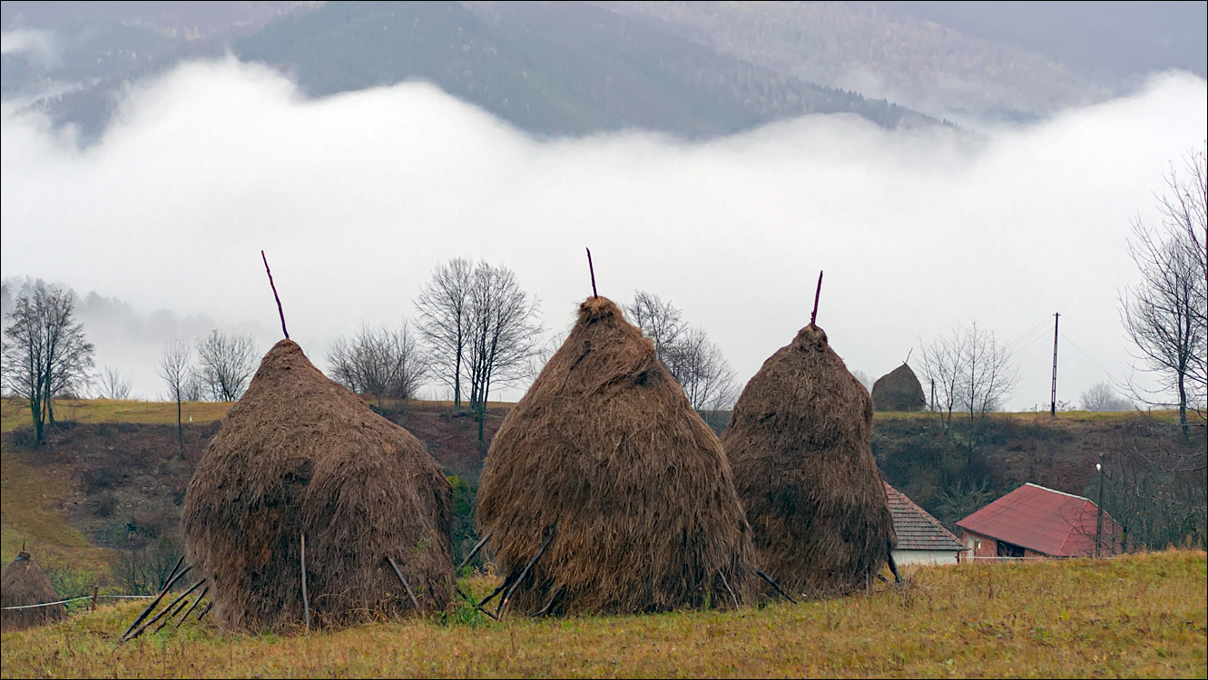 ClujNapoca PesteraUrsilor 20161111 209