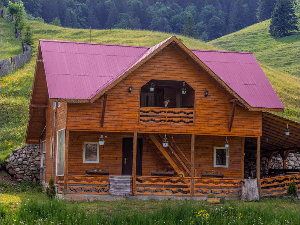 HasmasSinguratica 20180601 3009