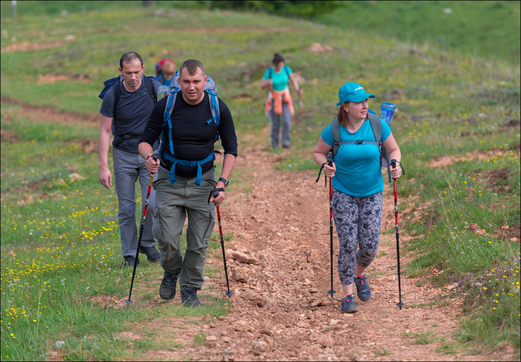 HasmasSinguratica 20180601 3024