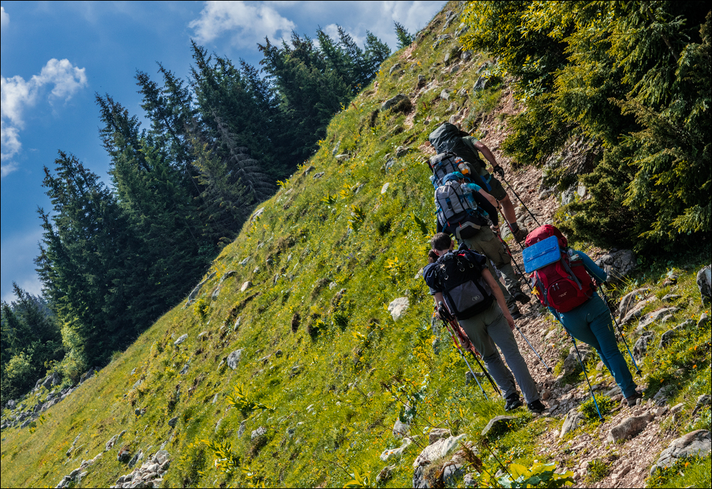 HasmasSinguratica 20180601 3050