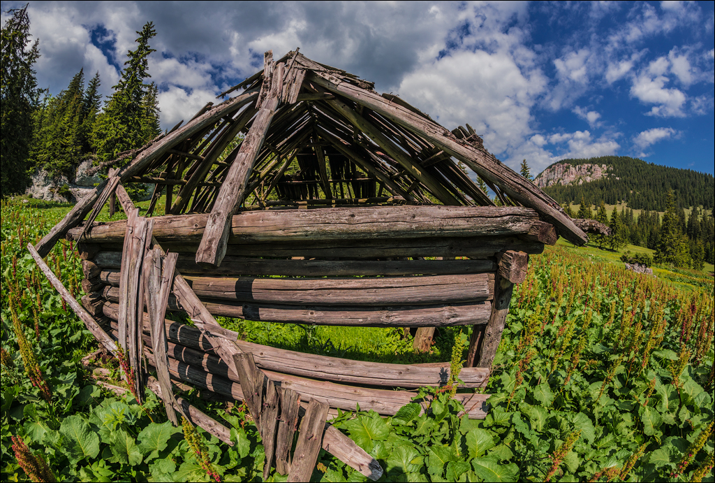 HasmasSinguratica 20180601 3052