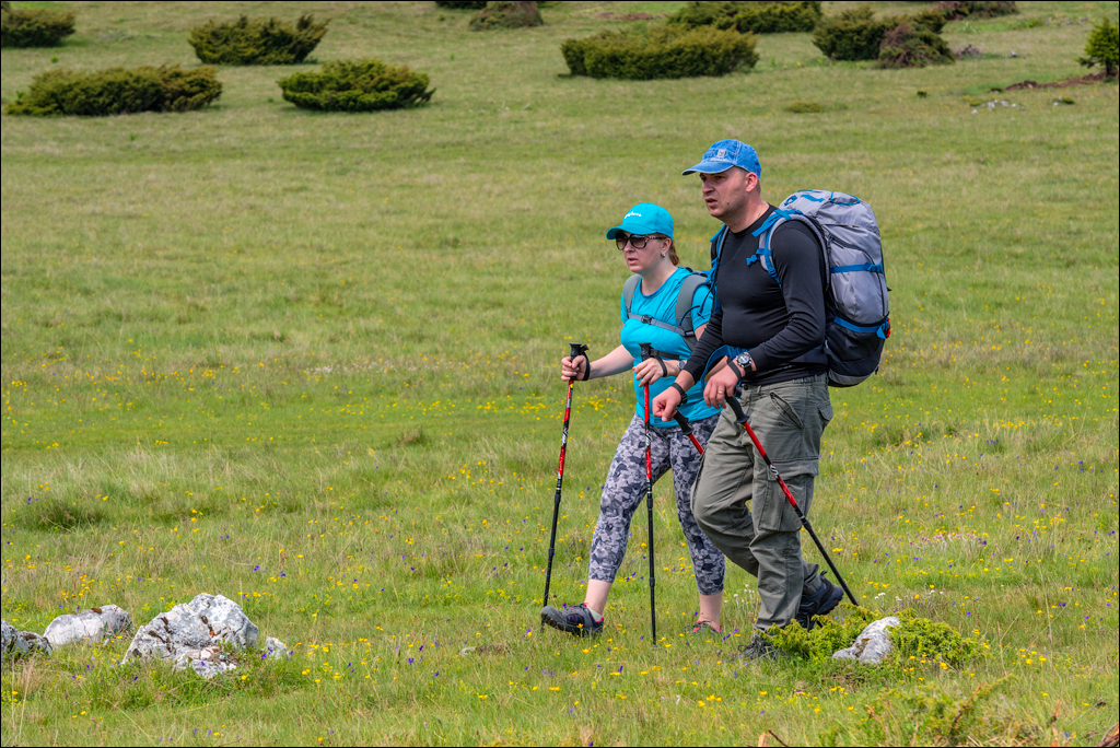 HasmasSinguratica 20180601 3053