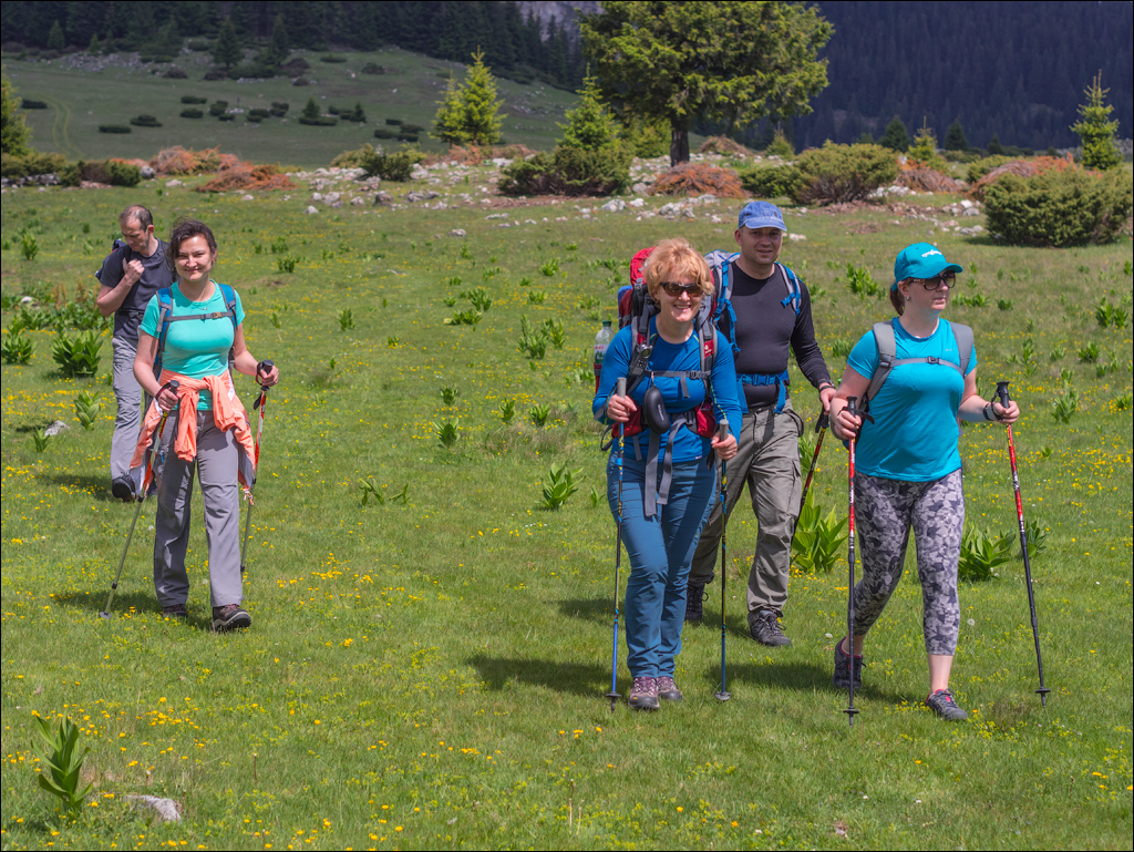 HasmasSinguratica 20180601 3060