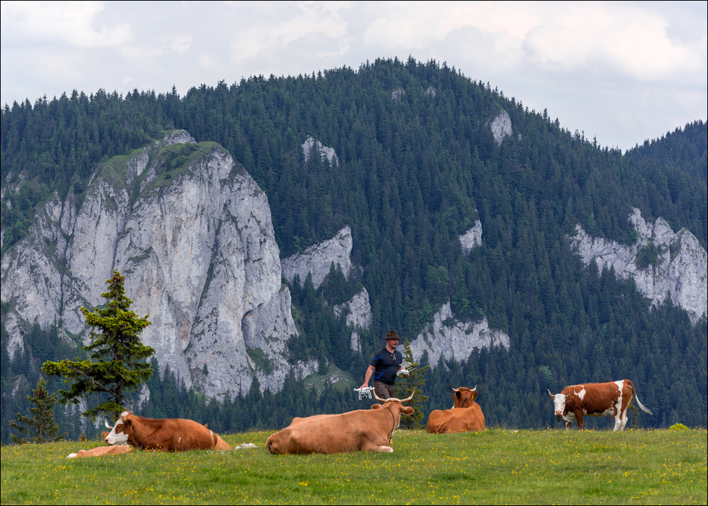 HasmasSinguratica 20180601 3083