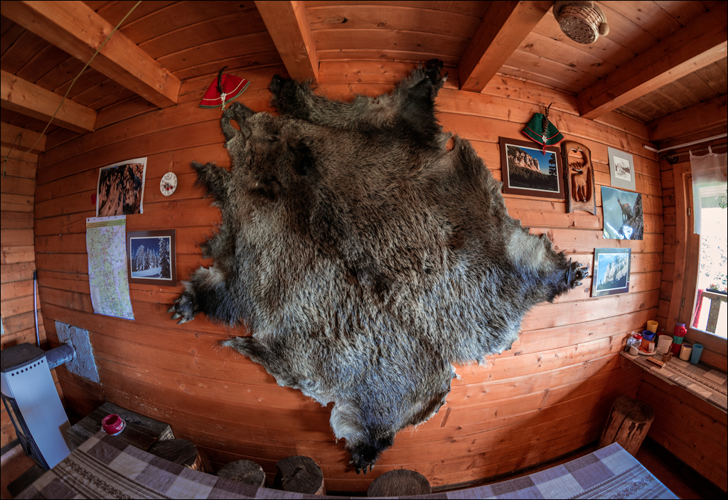 HasmasSinguratica 20180601 3091