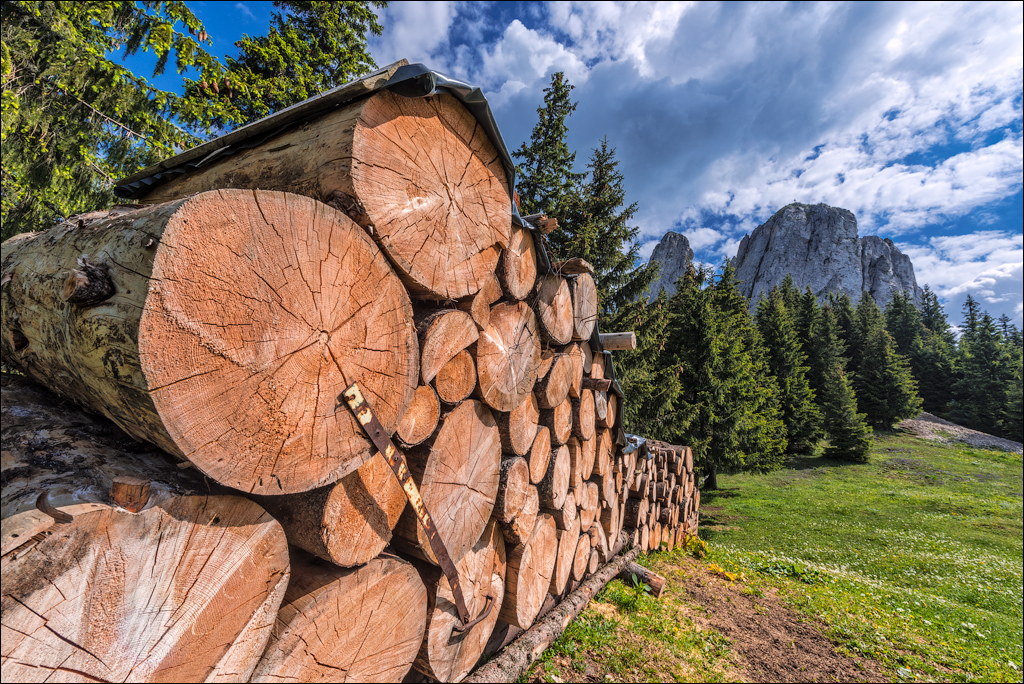 HasmasSinguratica 20180601 3124