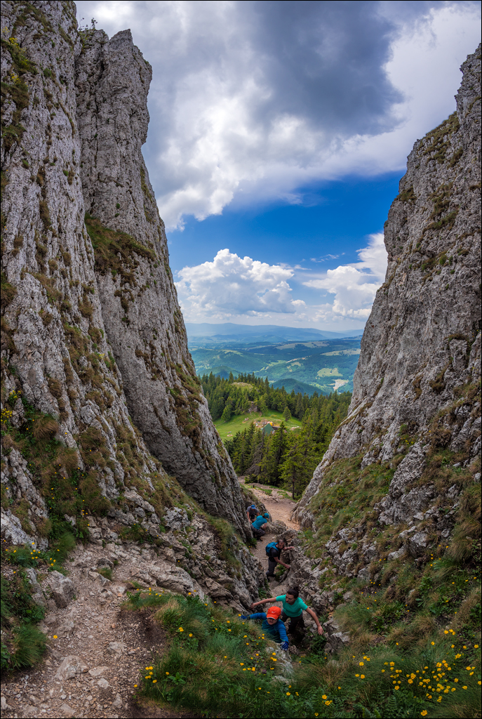 HasmasSinguratica 20180601 3131