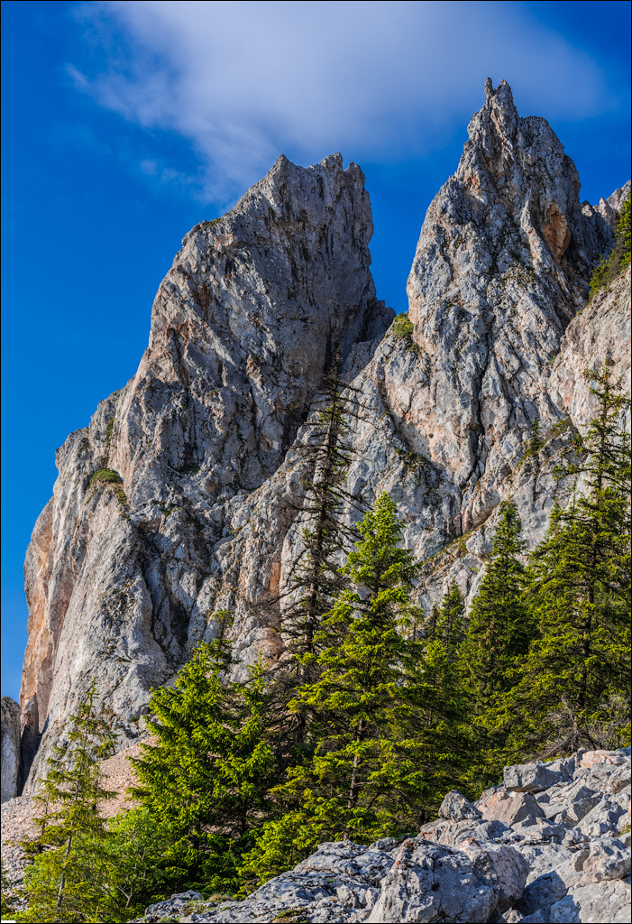 HasmasSinguratica 20180601 3179