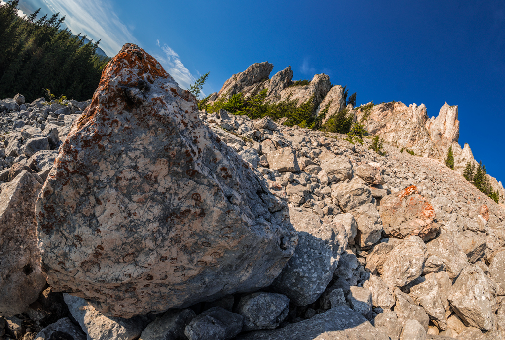 HasmasSinguratica 20180601 3181