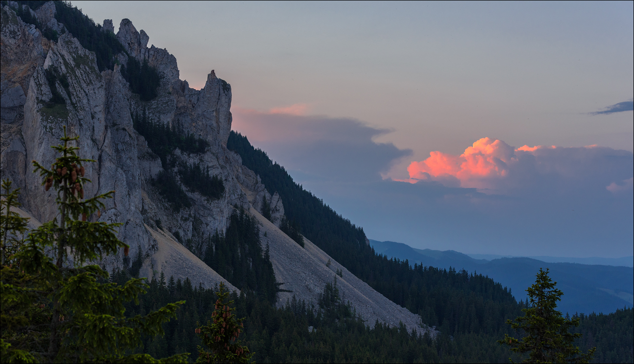 HasmasSinguratica 20180601 3191