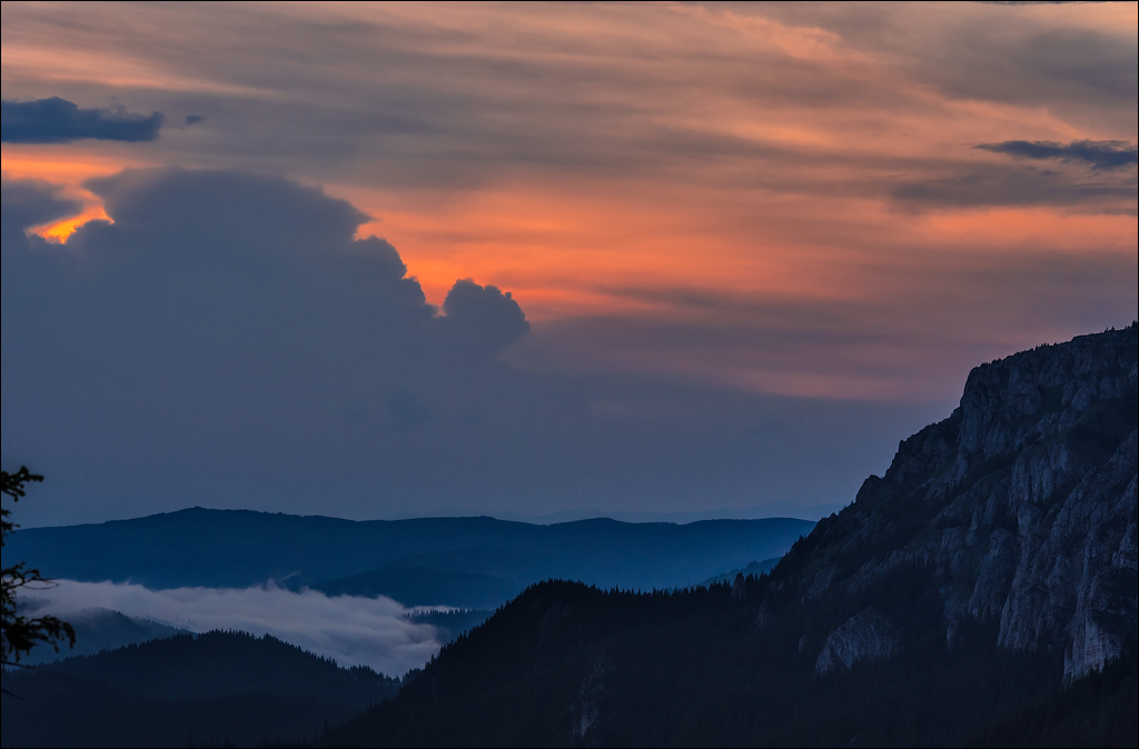 HasmasSinguratica 20180601 3195