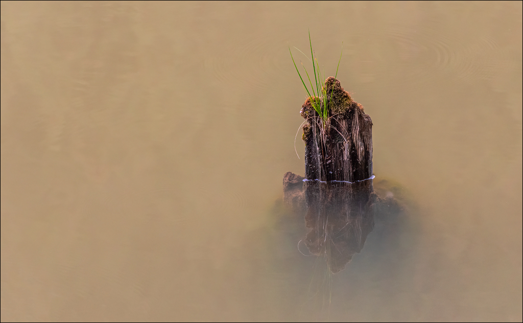 LaculRosu PiatraNeamt 27 31aug2021 122