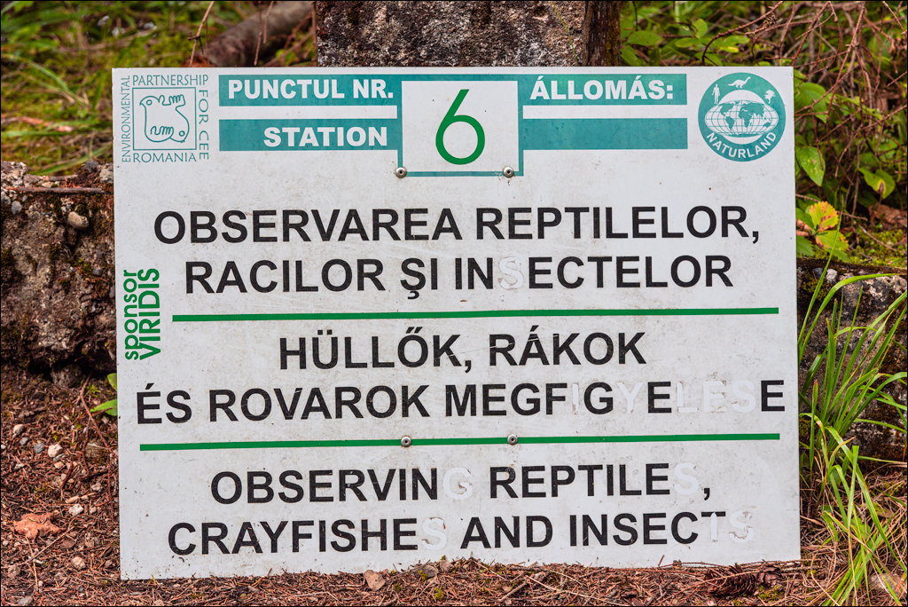 LaculRosu PiatraNeamt 27 31aug2021 125