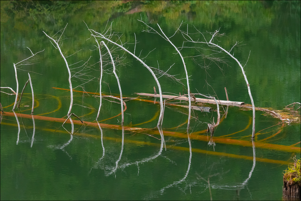 LaculRosu PiatraNeamt 27 31aug2021 129