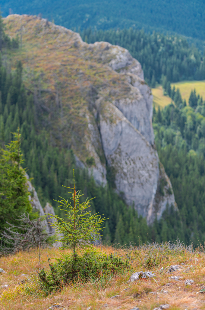 LaculRosu PiatraNeamt 27 31aug2021 147